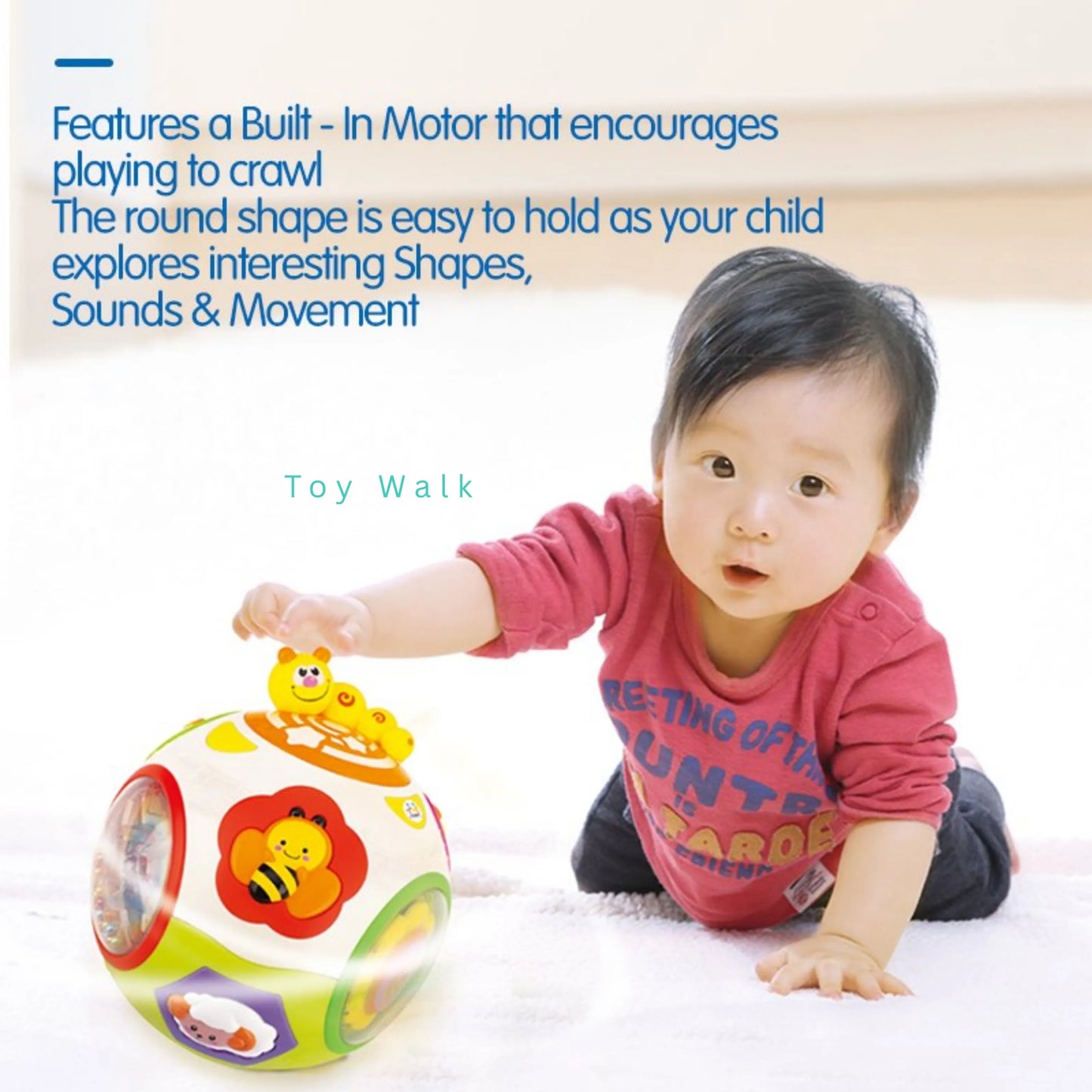 Hola 938 Activity Ball for 6M+ Ages