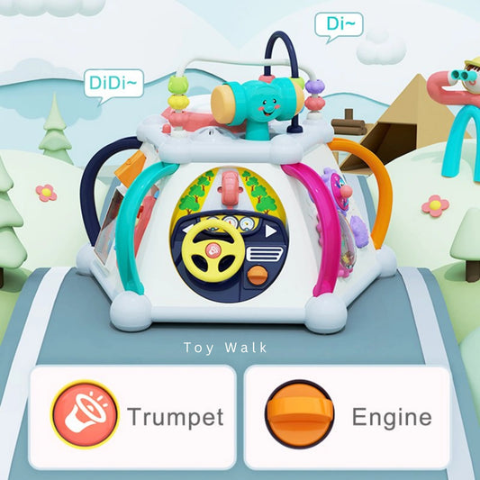 Hola HE806 15 in 1 Discover Activity Cube for 18M+ Ages