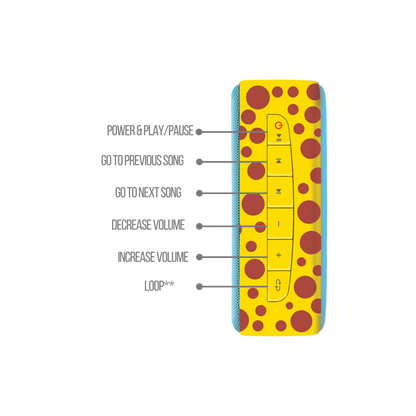 Saregama Carvaan Mini Kids